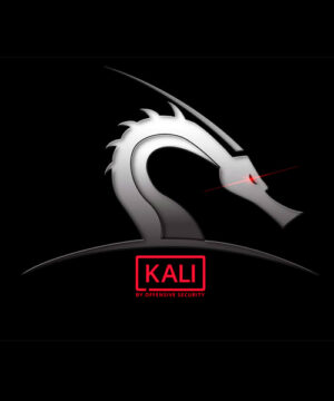 Курс Kali Linux - базовый
