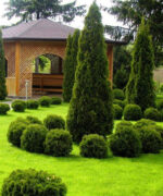 Курс Ландшафтного дизайна