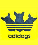 Курс Логотипы и фирменные стили