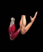 Курс Скиннинг при помощи nCloth