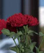 Курс Maya рендеринг в Arnold