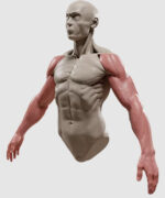 Курс Моделирование рук в Zbrush