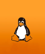 Курс Администратор Linux. Виртуализация и кластеризация