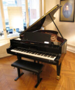 Игра на фортепиано - видео самоучитель